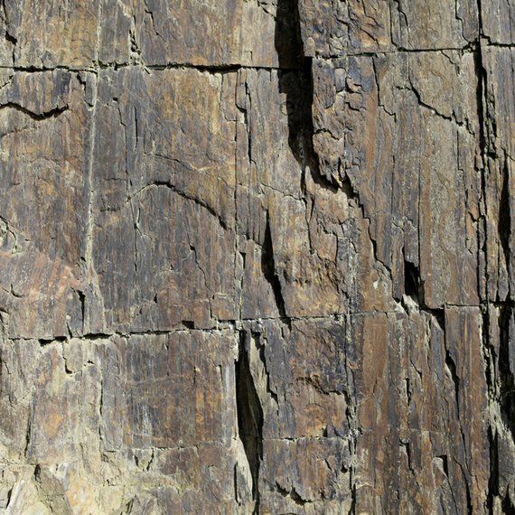 Wandbild Schnappschuss Strukturvlies Maß: 4,00m breit x 2,67m hoch
